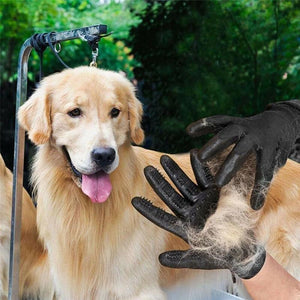 Pet gloves