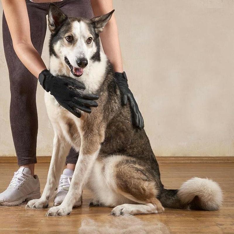 Pet gloves